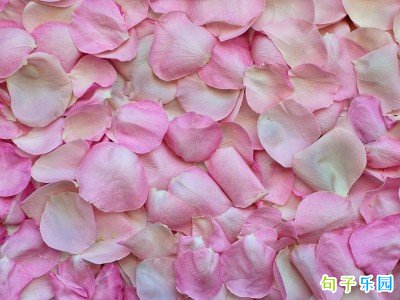 520���˽ڱ��׾��Ӽ��