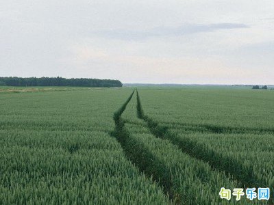 六月发朋友圈的文案2023