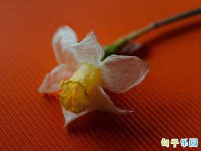 高级肉麻的情话短句
