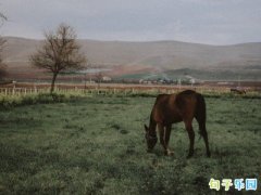 �߼����ʸ��İ�����