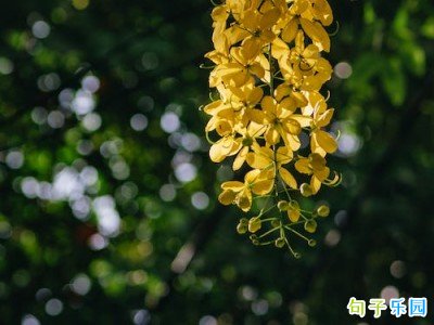 夏天可以发的文案 夏日短句说说