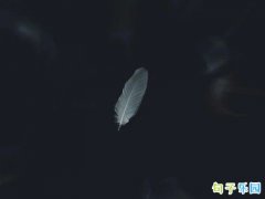 ���������������