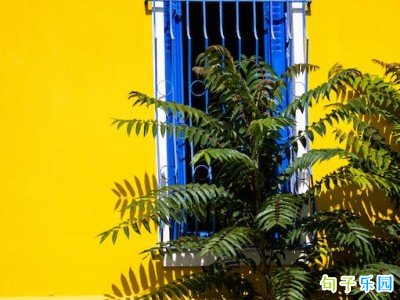 һ�۾;��޵ĸ���ǩ����
