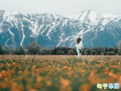 ˵�ú��е���������¼�̾�