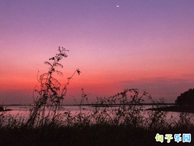 ����һ���ͱ���Ŀڲ��İ�