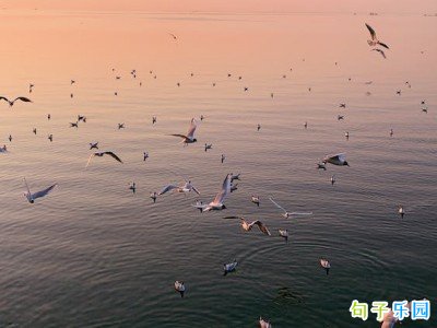 视频号个性文案干净短句