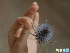 �߸������Ȧ˵˵��ѡ31��