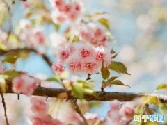 �������¶̾侫ѡ24��