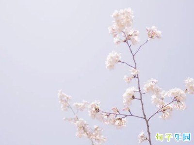 令人着迷文案短句30个