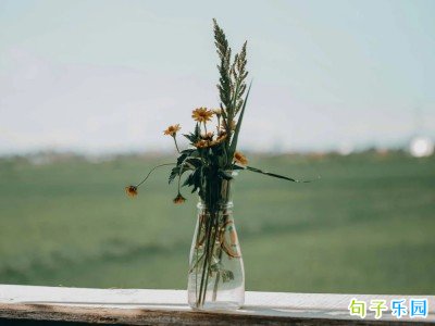 ����������ǩ���̾�29��
