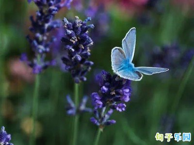 װ�Ƶľ��� �������ں���װ�Ƶľ���