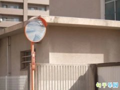 �������ins �����İ��̾���