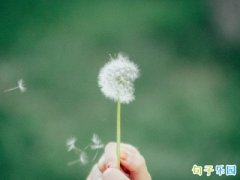 �и��Եļ����������31��