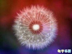 ����ǩ���߼�һ��