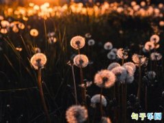 װ�Ƶľ��Ӿ������22��