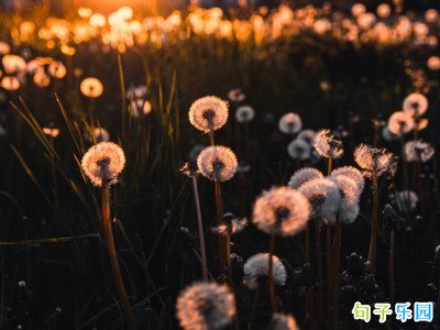 装逼的句子经典语句22个