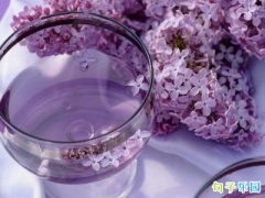 ���������� ��������˵˵�������
