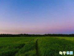 ���������Ӹ߼� ����������ǩ��