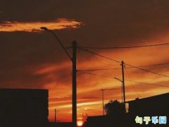 �߼����������Ӿ�ѡ21��