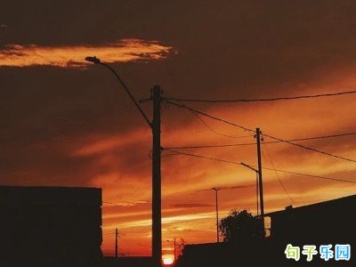 �߼����������Ӿ�ѡ21��