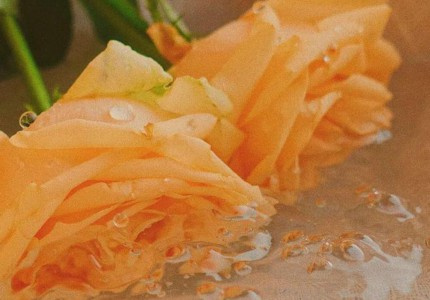 ��������һ����Ȼ�ľ��Ӿ�ѡ23��