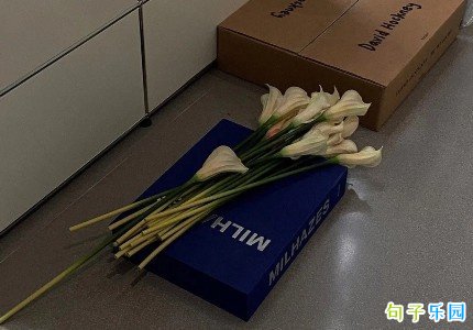 猜不透的朋友圈文案精选40句 猜不透的朋友圈文案精选40句