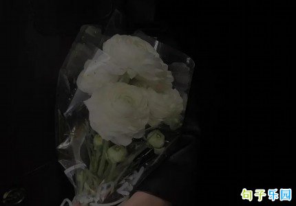 ��ȼ�İ��̾侫ѡ32��