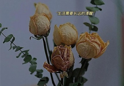 ����˵˵����Ȧ��ѡ70��