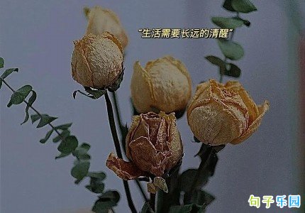 ����˵˵����Ȧ��ѡ70��