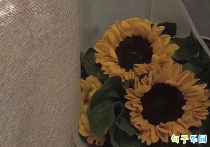 立秋短句说说精选70句 立秋短句说说精选70句