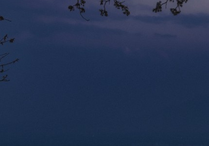 �ɾ����ɾ���2023��ѡ35��