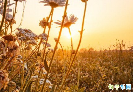 �ɾ��������İ����Ӿ�ѡ35��