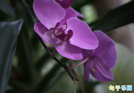 ����ѹ������������Ӿ�ѡ35��