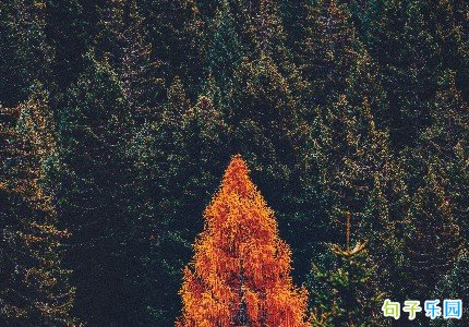 ��Ѫ���Ӽ��ժ����ѡ32��