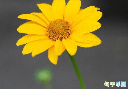 Ů���˸о��Ӻ������龫ѡ33��