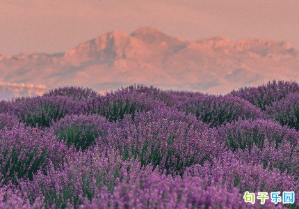 �ɾ����ĵ��İ�����Ȧ��ѡ35��