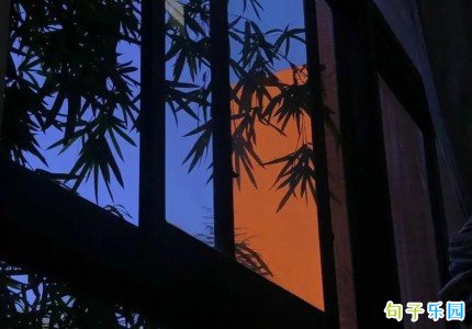 七夕表白语录简短精选33句 七夕表白语录简短精选33句