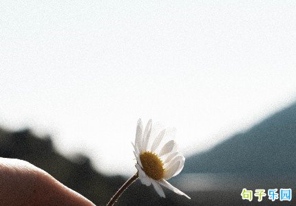 ɳ�񶺱Ⱦ��Ӷ̾侫ѡ31��