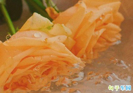 ����ʮ�����˵˵��ѡ56��