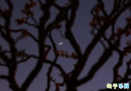 ���Ϻ�ף����ů�ľ�����ѡ32��