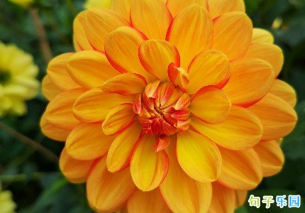 ����Ψ���İ�С���龫ѡ32��