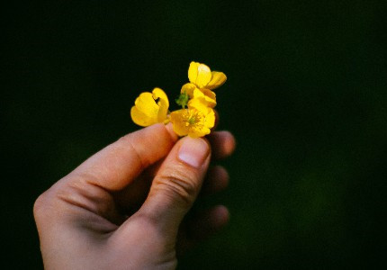 ˯ǰ����������Ȧ�ľ��Ӿ�ѡ32��