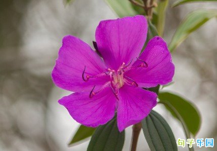 教师节最新文案2023精选70句 教师节最新文案2023精选70句