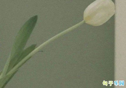 ��ʦ����¼�İ���ѡ70��
