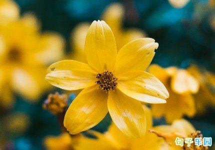 搞笑幽默有梗的短句精选33句 搞笑幽默有梗的短句精选33句