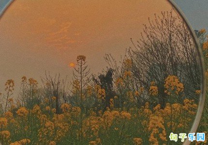 ���й����İ���ѡ33��
