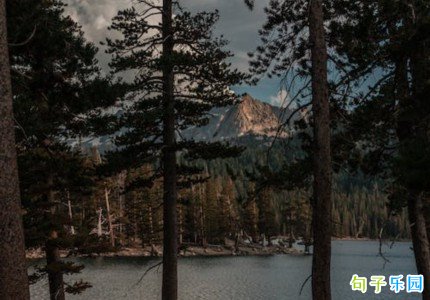 ���ڲ������ľ��Ӿ�ѡ34��