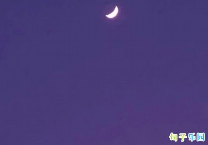 ��¶����İ���ѡ54��