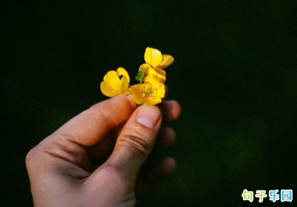 �й��ĺ�Ц���Ӿ�ѡ33��