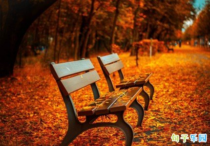 �������İ���ôд ��������¼��̾���